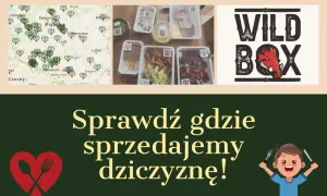 Gdzie można kupić dziczyznę? Sprawdź najlepsze źródła w Polsce